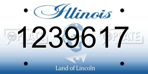 1239617 Illinois License Plate