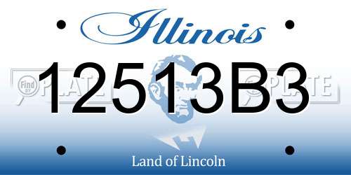 12513B3 Illinois License Plate