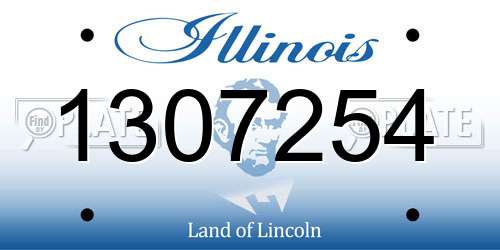 1307254 Illinois License Plate