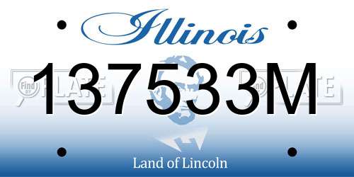 137533M Illinois License Plate