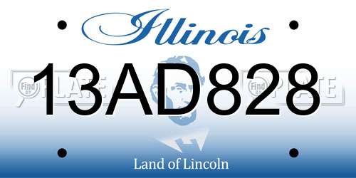 13AD828 Illinois License Plate