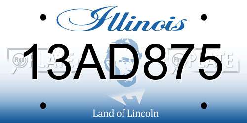 13AD875 Illinois License Plate