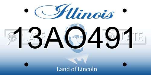 13AO491 Illinois License Plate
