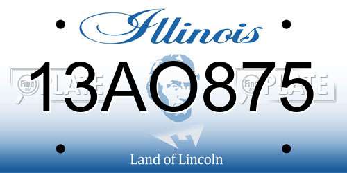 13AO875 Illinois License Plate