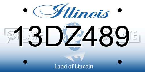 13DZ489 Illinois License Plate