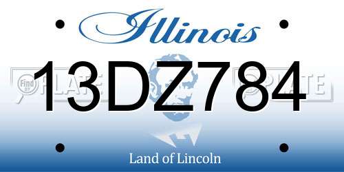 13DZ784 Illinois License Plate