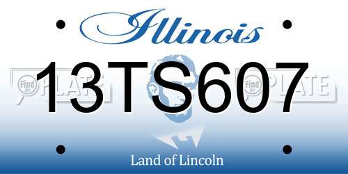13TS607 Illinois License Plate