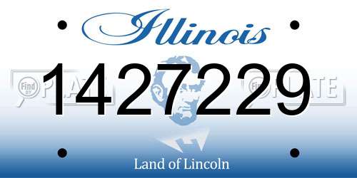 1427229 Illinois License Plate