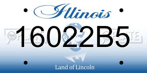 16022B5 Illinois License Plate