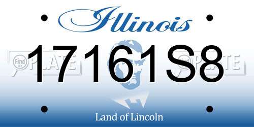 17161S8 Illinois License Plate
