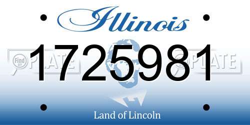 1725981 Illinois License Plate