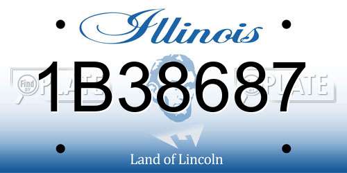 1B38687 Illinois License Plate