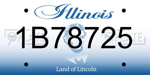 1B78725 Illinois License Plate