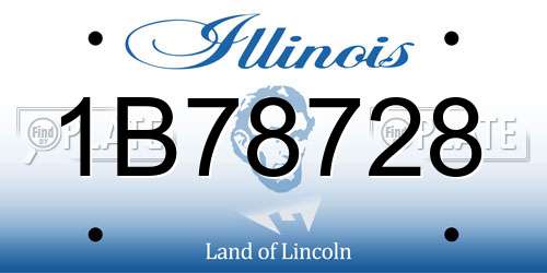 1B78728 Illinois License Plate