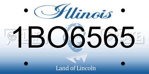 1BO6565 Illinois License Plate