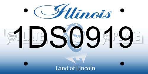 1DS0919 Illinois License Plate