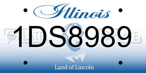 1DS8989 Illinois License Plate