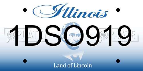 1DSO919 Illinois License Plate