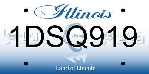 1DSQ919 Illinois License Plate