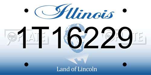 1T16229 Illinois License Plate