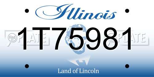 1T75981 Illinois License Plate