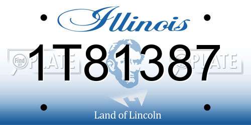 1T81387 Illinois License Plate