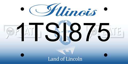 1TSI875 Illinois License Plate