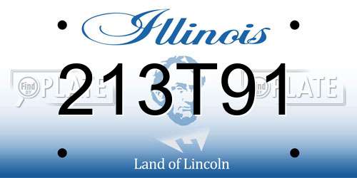 213T91 Illinois License Plate