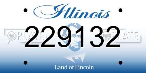 229132 Illinois License Plate