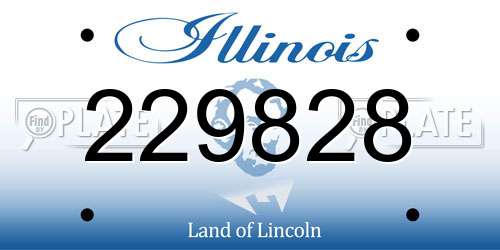 229828 Illinois License Plate