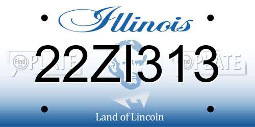 22ZI313 Illinois License Plate