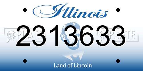 2313633 Illinois License Plate