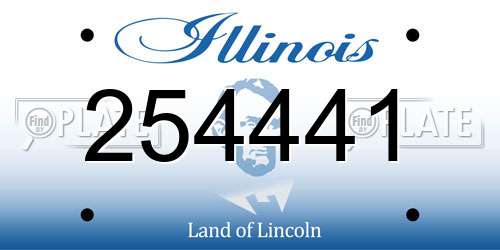 254441 Illinois License Plate