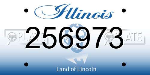 256973 Illinois License Plate