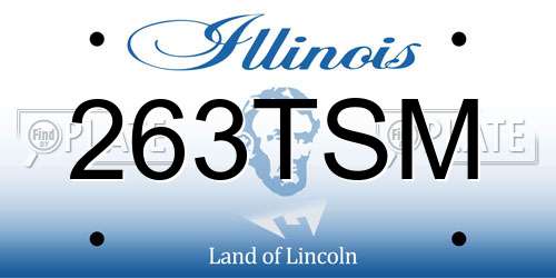 263TSM Illinois License Plate