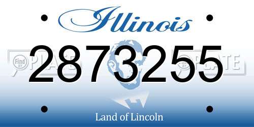 2873255 Illinois License Plate