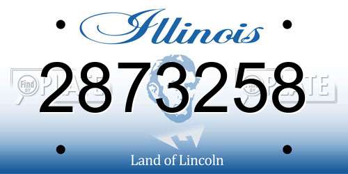 2873258 Illinois License Plate