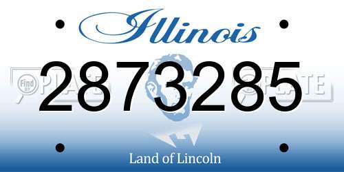 2873285 Illinois License Plate