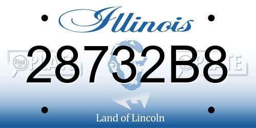 28732B8 Illinois License Plate