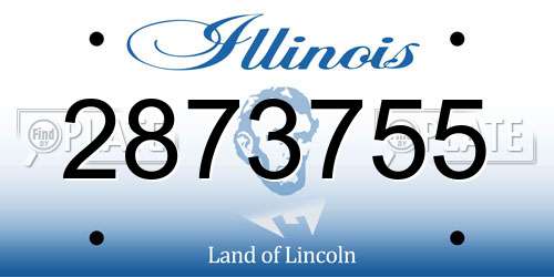 2873755 Illinois License Plate
