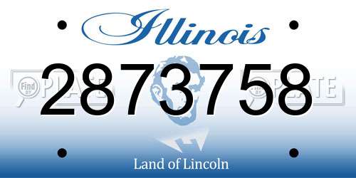 2873758 Illinois License Plate
