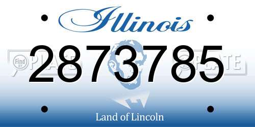 2873785 Illinois License Plate