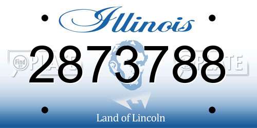 2873788 Illinois License Plate