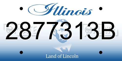 2877313B Illinois License Plate