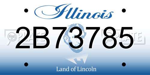 2B73785 Illinois License Plate