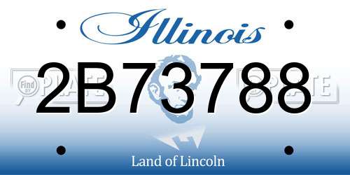 2B73788 Illinois License Plate