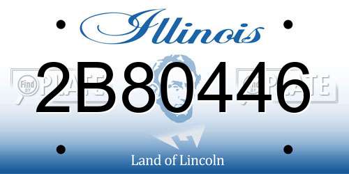 2B80446 Illinois License Plate