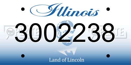 3002238 Illinois License Plate