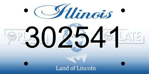 302541 Illinois License Plate