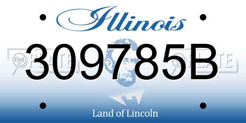309785B Illinois License Plate